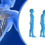 Quais os sintomas da osteoporose?